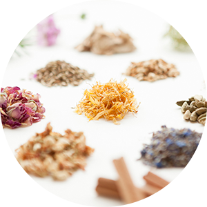 メディカルハーブ基礎