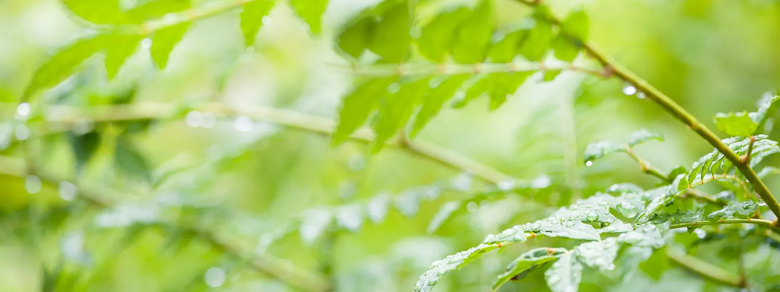 全国の認定校一覧