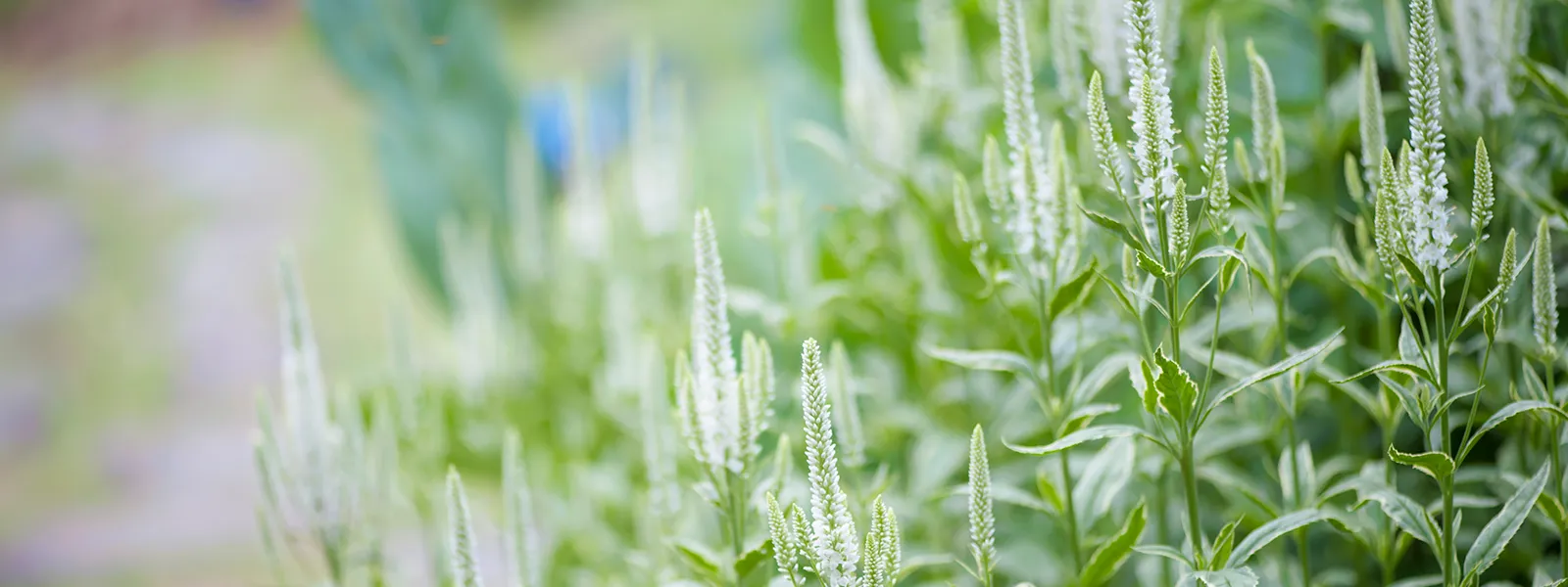 全国の資格取得者紹介